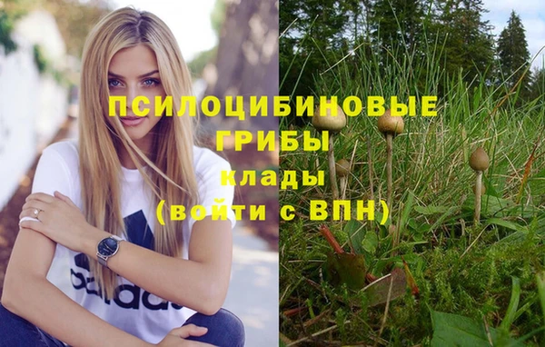 ECSTASY Лихославль