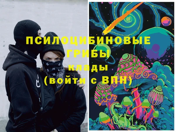 дурь Липки