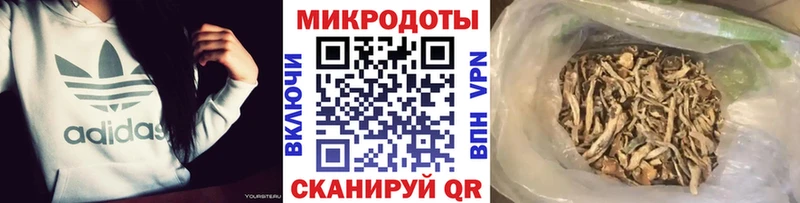 цена   Соликамск  Псилоцибиновые грибы Magic Shrooms 