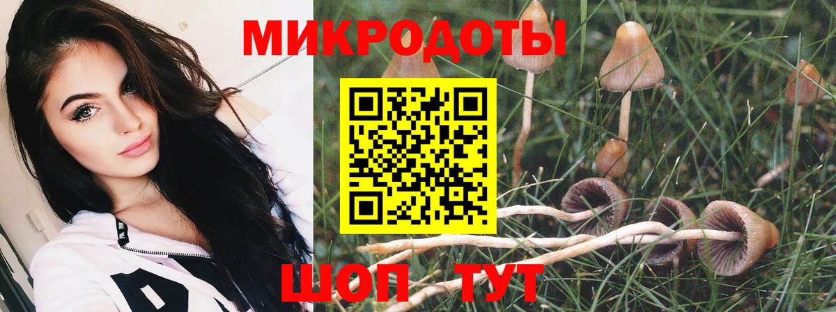 Галлюциногенные грибы Cubensis  купить закладку  Соликамск  Галлюциногенные грибы Psilocybine cubensis  Вход с VPN 